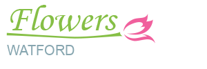 Watford Flowers | Flowers Delivered at Affordable Price in WD1