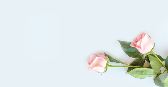 Sympathy Flowers Watford